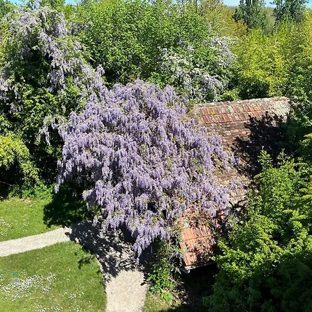Apartament Truffe Du Quercy - Private Pool & Sauna Payrac